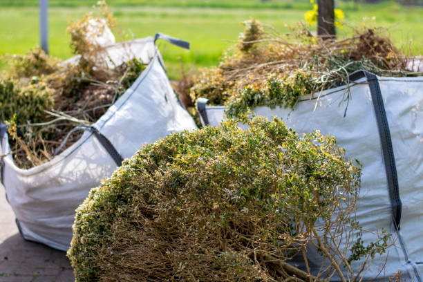 Best Dumpster Rental Services  in Sierra Ridge, CO